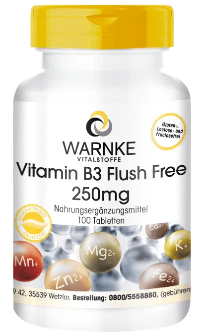 Vitamina B3 250mg Flush free Vitamina B3 250mg Flush free