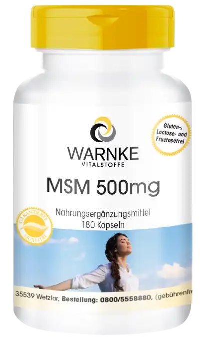 MSM 500mg
