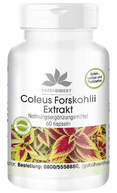 Coleus Forskohlii Extrakt 50mg