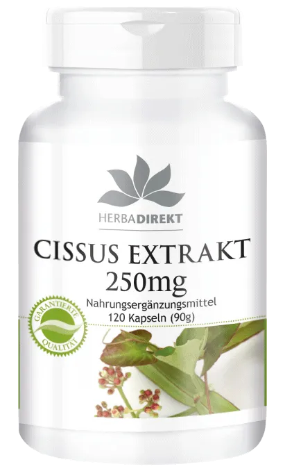 Cissus Extrakt 250mg