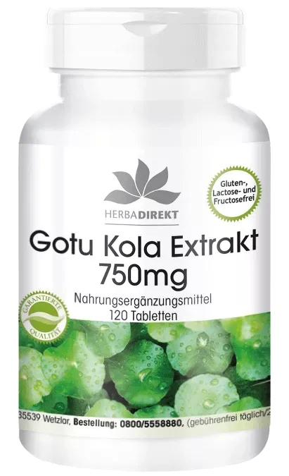 Gotu Kola Extrakt 750mg