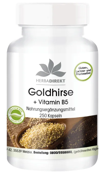 Goldhirse + Vitamin B5 + L-Cystein