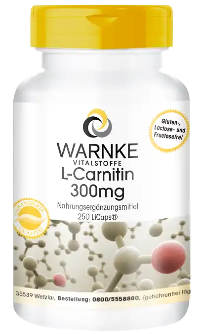 L-Carnitin 300mg 250 LiCaps